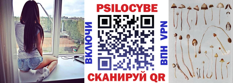 Псилоцибиновые грибы Psilocybine cubensis  omg   Апшеронск 