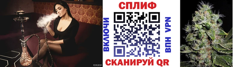 Каннабис OG Kush  Апшеронск 